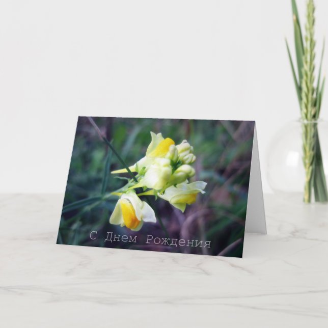 Ryskt födelsedagkort, Linaria Kort (Framsida)