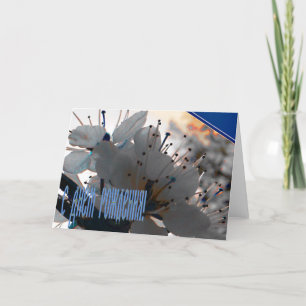 Ryskt födelsedagkort med körsbärsröda blommor kort