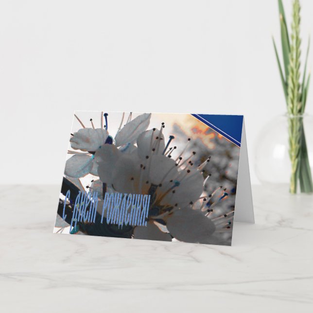 Ryskt födelsedagkort med körsbärsröda blommor kort (Framsida)