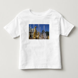 Ryssland, St. Petersburg, Gyllene statyer i T-shirt