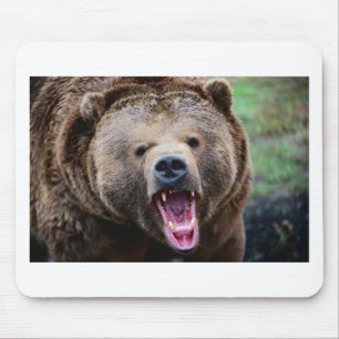 Ryta Grizzlybjörn Musmatta