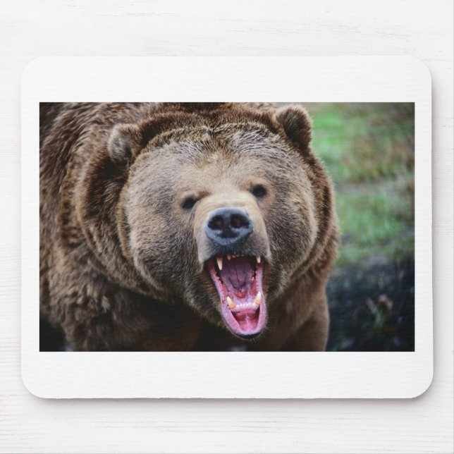Ryta Grizzlybjörn Musmatta (Framsidan)