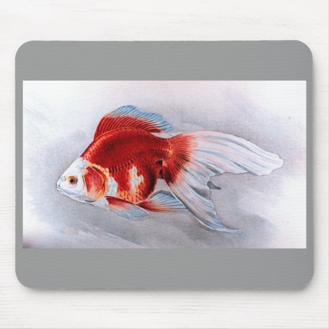 Ryukin guldfisk musmatta (Framsidan)