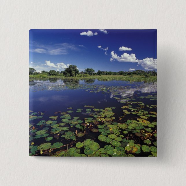 S.A., Brasilien, Vattenvägar i Pantanal Knapp (Framsida)
