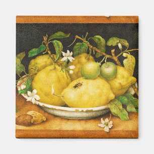 S BÄR FRUKTT CITRONER OCH VITBLOMMOR MAGNET