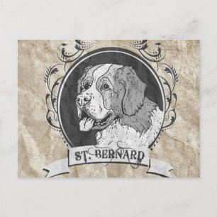 S. BERNARD (2) VYKORT