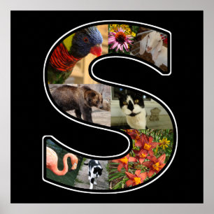 S-monogramen skapar din egna Collagesvart för 8 Poster