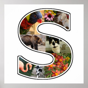 S-monogramen skapar din egna fotoCollage för 8 Poster