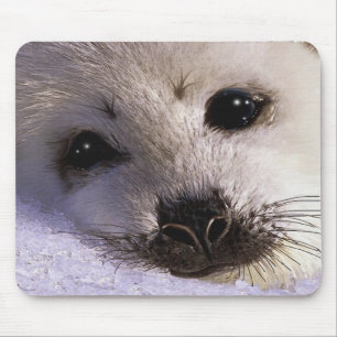 S.O.S. SPARA OUR HARP SÄLAR Wildlife Mousepad Musmatta