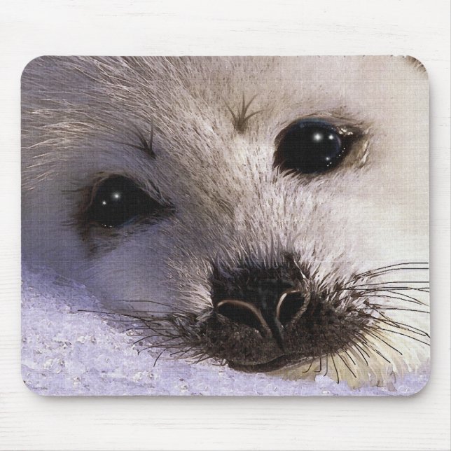 S.O.S. SPARA OUR HARP SÄLAR Wildlife Mousepad Musmatta (Framsidan)