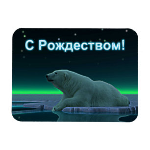S Rozhdestvom - Polarna Bear i Ice Kant Magnet