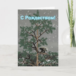 S Rozhdestvom - Porcupine in A Gräs Träd Helgkort