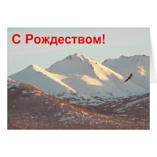 S Rozhdestvom - Winter Eagle Hälsningskort
