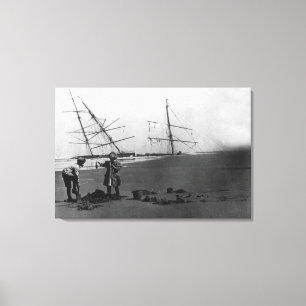 S.S. Alice McDonald haveriIlwaco peninsula Canvastryck