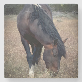 S Steens Coaster Stenunderlägg