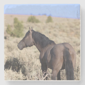 S Steens Stone Coaster Stenunderlägg