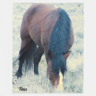 S Steens Titus Fleecefilt