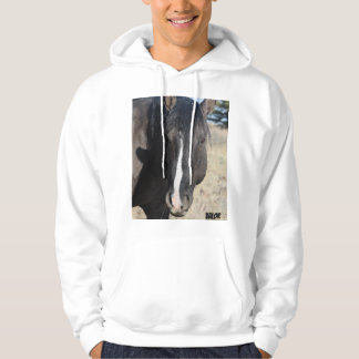 S Steens Värde Hoodie