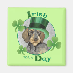 S:t Patrick-Dachshund Magnet