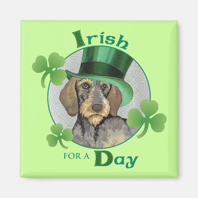 S:t Patrick-Dachshund Magnet (Framsidan)