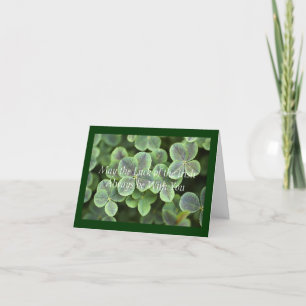 S:t Patrick-Dagen Shamrocks Kort