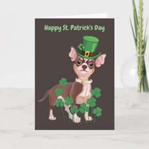 S:t Patricks dag Chihuahua-valp gratulationskort Kort