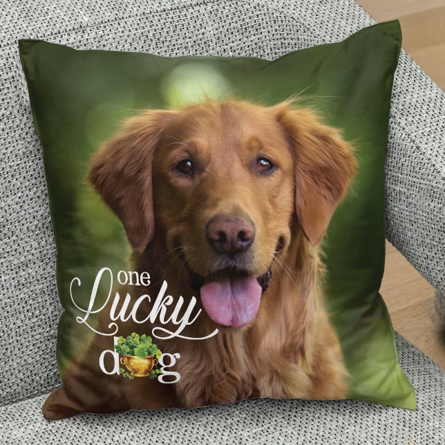 S:t Patrick's Day Lucky Hund Anpassningsbar Photo Kudde (Skapare uppladdad)
