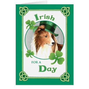 S:t Patrick's Day Sheltie Hälsningskort