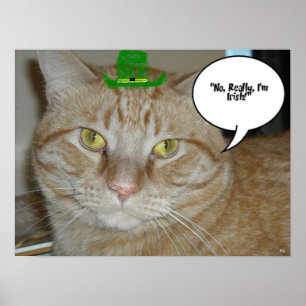 S:t Patricks Orange Tabby katt Poster