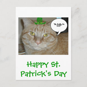 S:t Patricks Orange Tabby katt Vykort