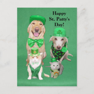 S:t Pattys dag samlas Vykort