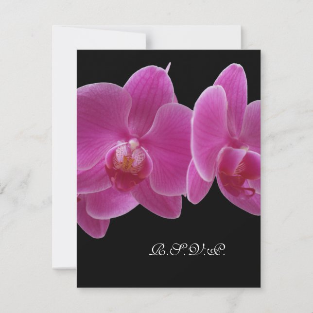 S.V.A.R. Utan menyinbjudan för 5 x 7 inbjudan (Framsida)