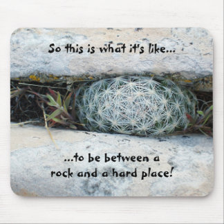 Så är detta vad den är lik musmatta