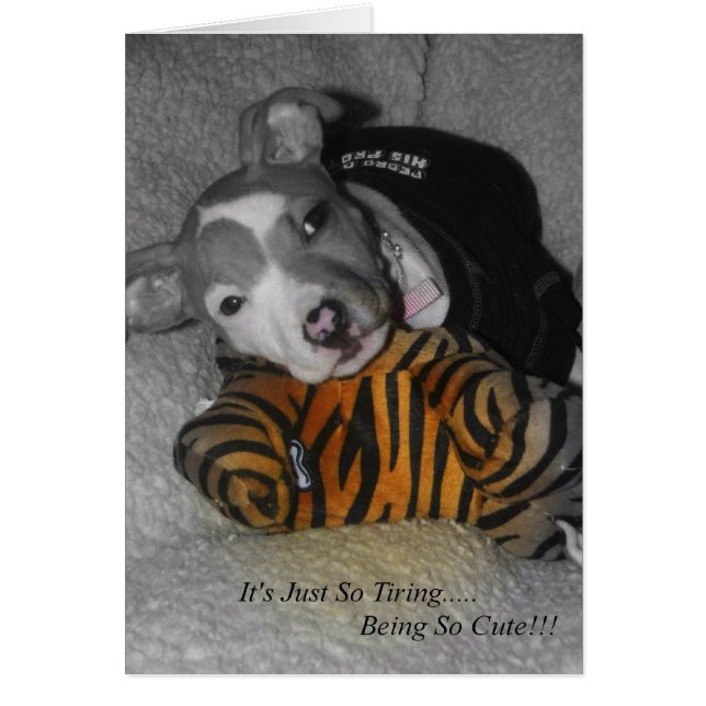 Så att du är så söt! hälsningskort (Framsidan)