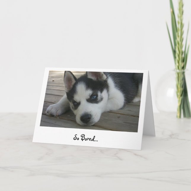Så Bored Kort (Framsida)