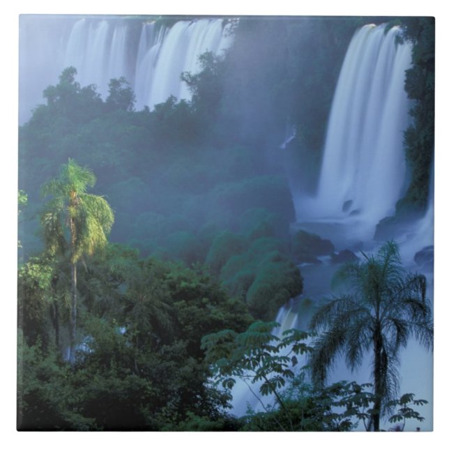 SA, Brasilien, Parana State Iguacu NP, Iguacu Kakelplatta (Framsidan)