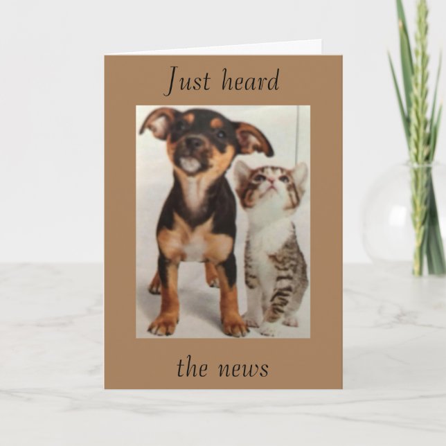 SÅ "COOLA" DU VÄNTAR *18* KORT (Framsida)