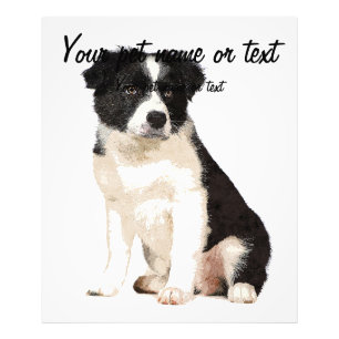 Så Cute Gräns Collie Hund Puppy Fototryck