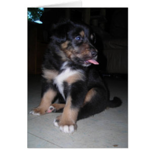 Så där! Puppy raspberry Hälsningskort