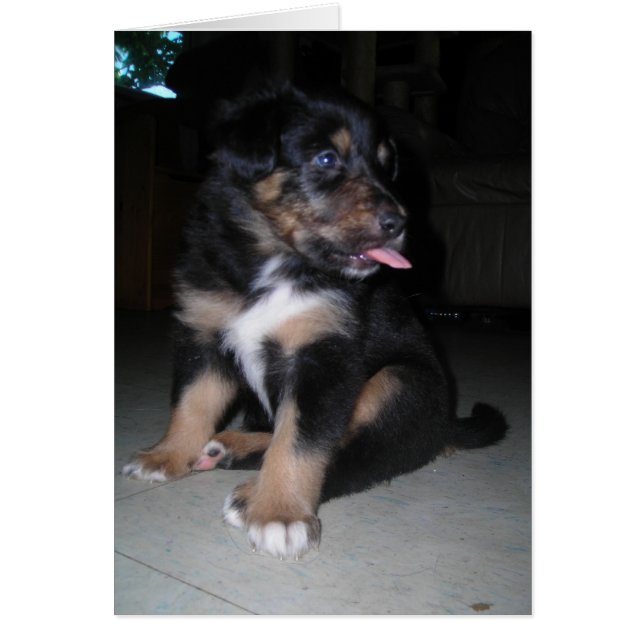 Så där! Puppy raspberry Hälsningskort (Framsidan)