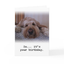 Så.. Din födelsedag