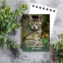 Så ditt rykte! Studenten Kitten