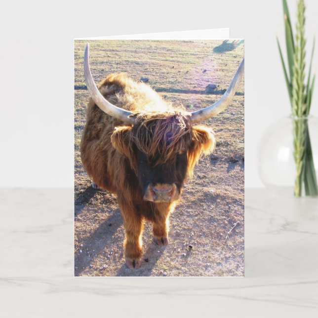 Sa du "Bad Hair Day"? Kort (Framsida)