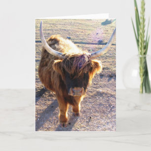 Sa du "Bad Hair Day"? Kort