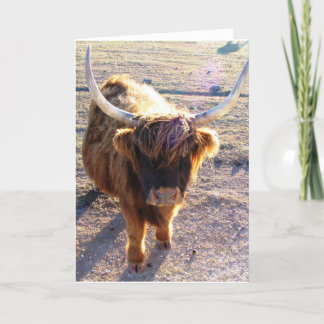 Sa du "Bad Hair Day"? Kort