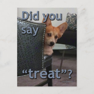 "Sa du "behandla"?" Corgi-kort Vykort
