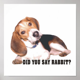 Sa du kanin? Beagle Poster