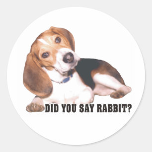 Sa du kanin? Beagle Stickers Runt Klistermärke
