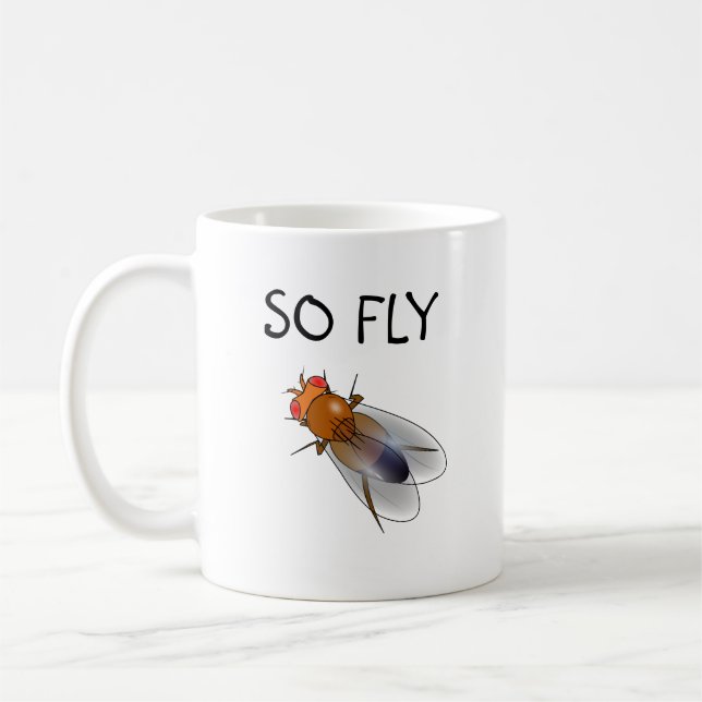 Så fly Drosophila mugg (Vänster)