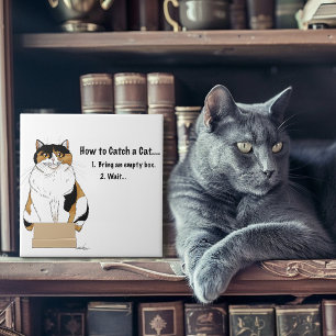 Så här fångar du en katt kakelplatta